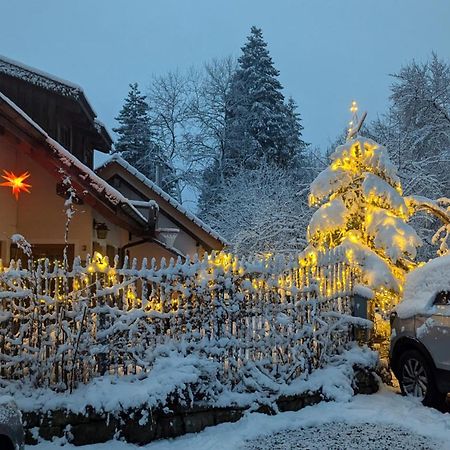 Gemuetliche Waldrandlage In Badenweiler Sehringen Ferienwohnung Exteriér fotografie