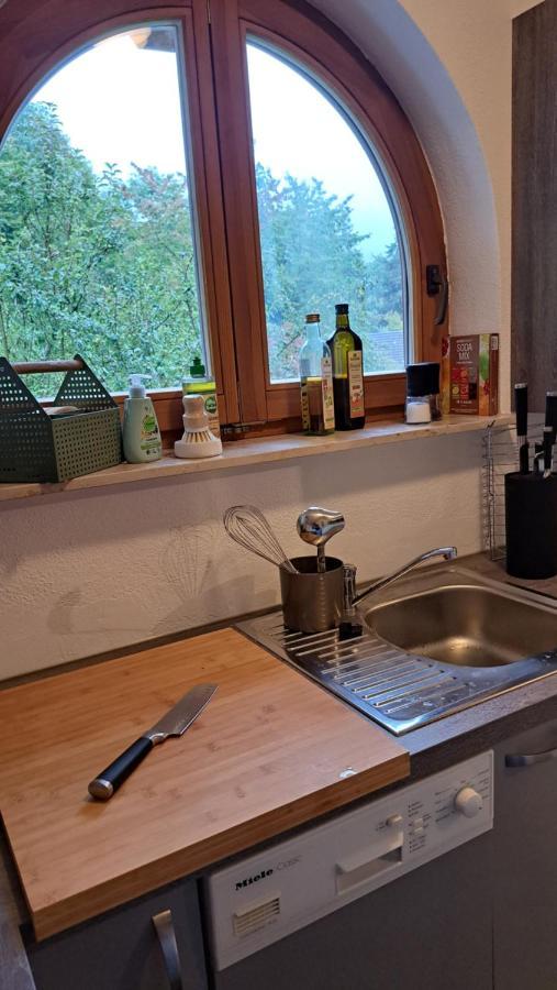 Gemuetliche Waldrandlage In Badenweiler Sehringen Ferienwohnung Exteriér fotografie