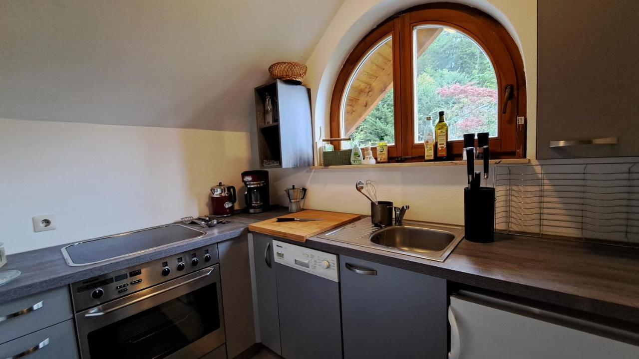 Gemuetliche Waldrandlage In Badenweiler Sehringen Ferienwohnung Exteriér fotografie