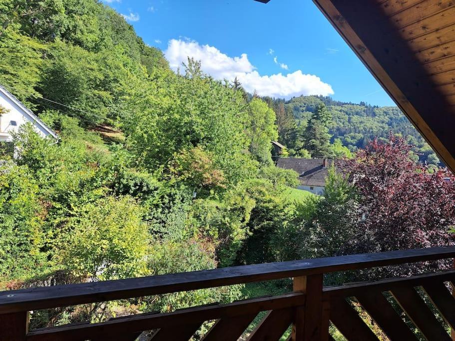 Gemuetliche Waldrandlage In Badenweiler Sehringen Ferienwohnung Exteriér fotografie