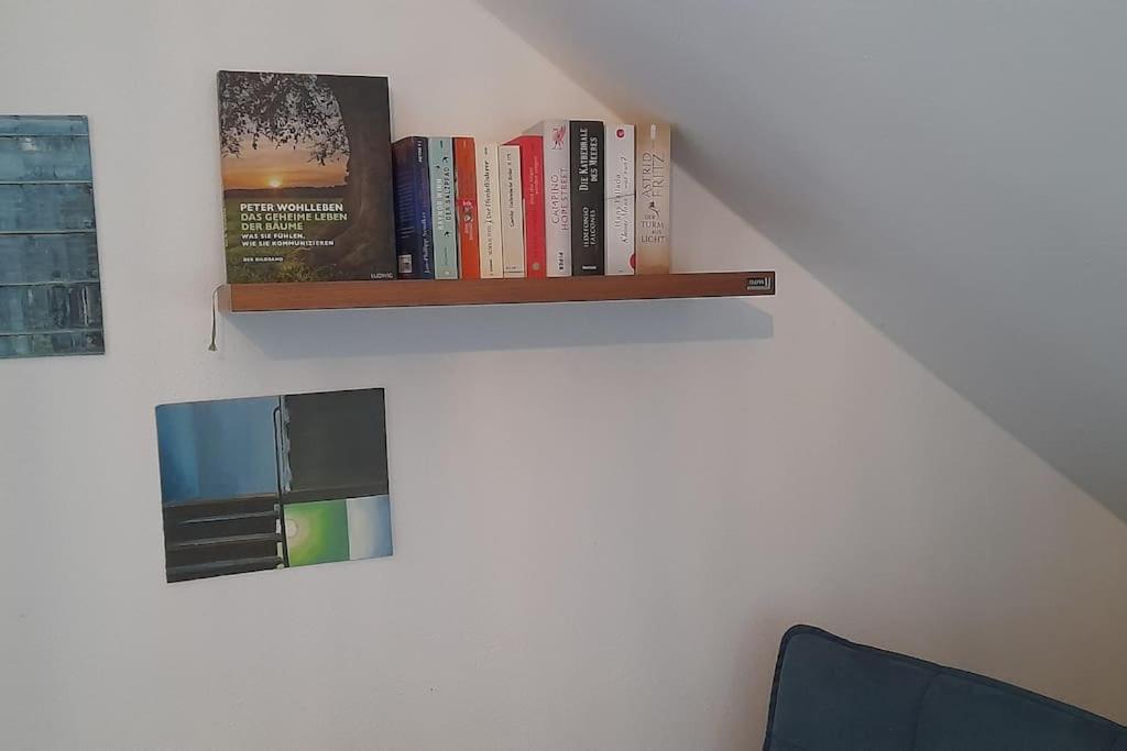 Gemuetliche Waldrandlage In Badenweiler Sehringen Ferienwohnung Exteriér fotografie