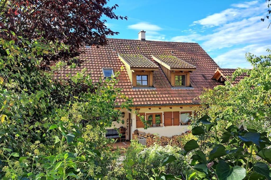 Gemuetliche Waldrandlage In Badenweiler Sehringen Ferienwohnung Exteriér fotografie