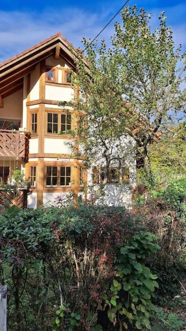 Gemuetliche Waldrandlage In Badenweiler Sehringen Ferienwohnung Exteriér fotografie