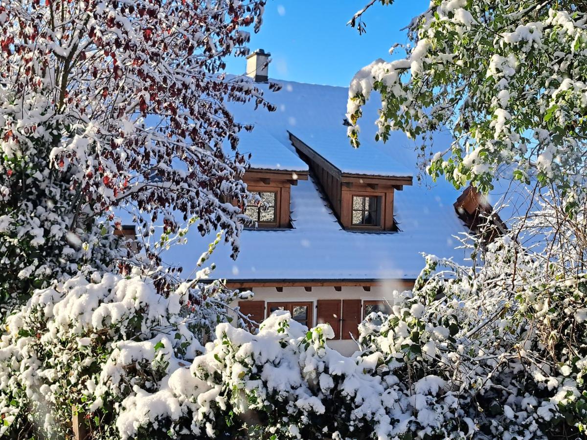 Gemuetliche Waldrandlage In Badenweiler Sehringen Ferienwohnung Exteriér fotografie