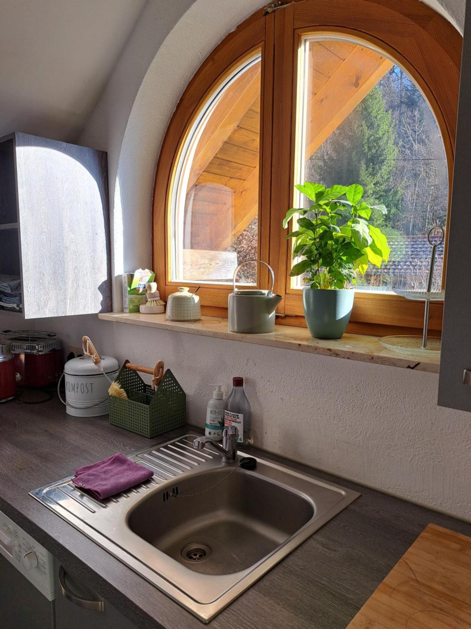 Gemuetliche Waldrandlage In Badenweiler Sehringen Ferienwohnung Exteriér fotografie
